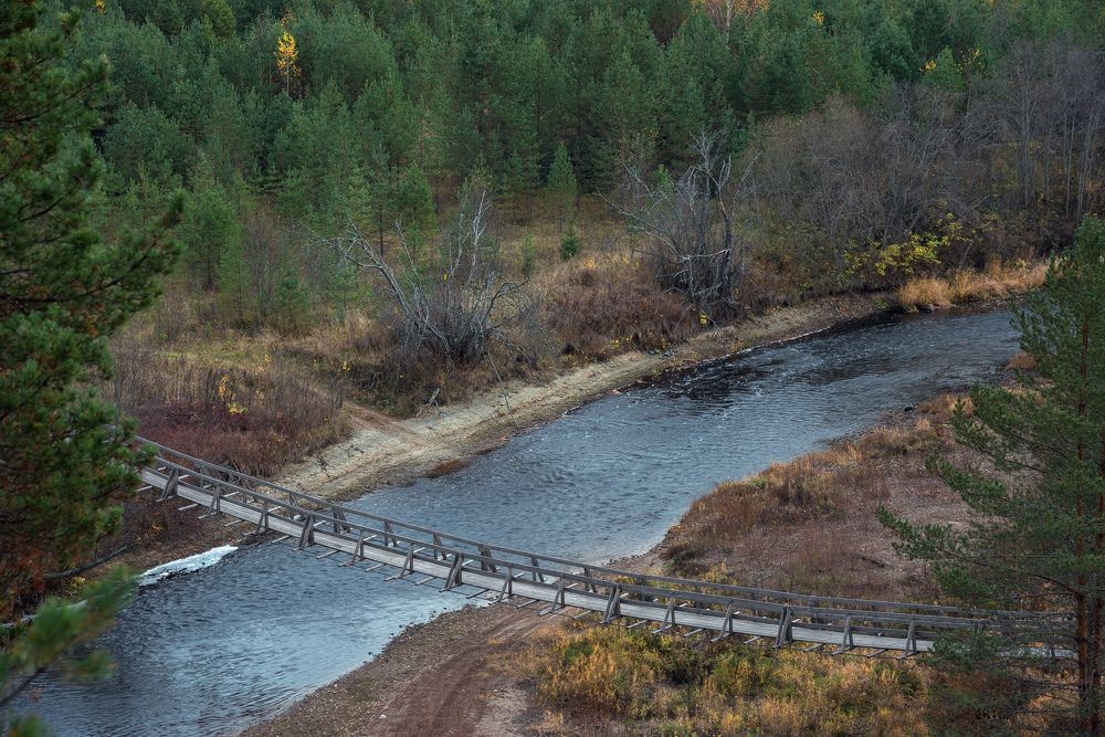 Осенний лес