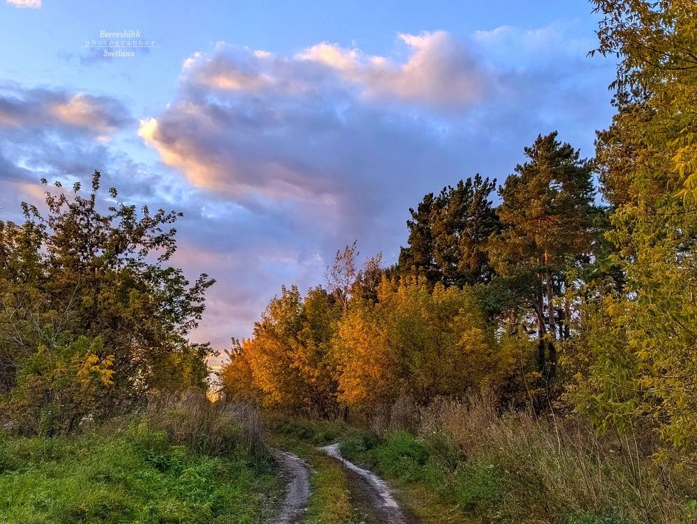 Краски осени