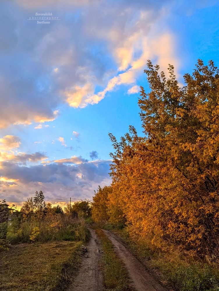 Краски осени