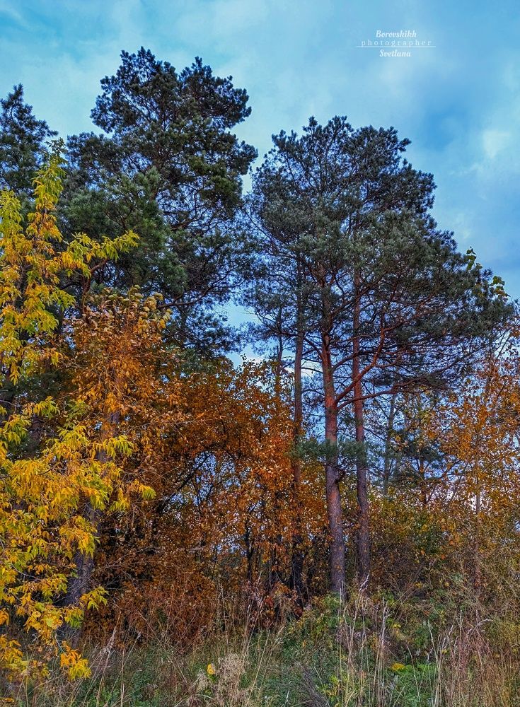 Краски осени