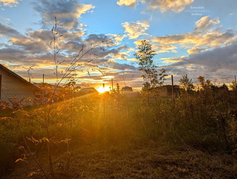 Краски осени
