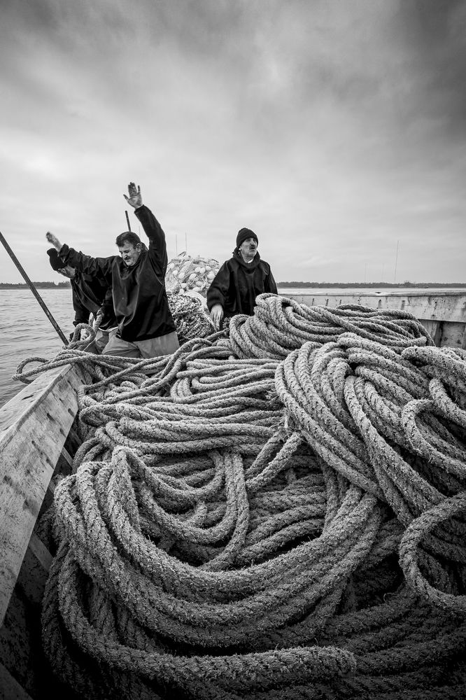 The Fishermans