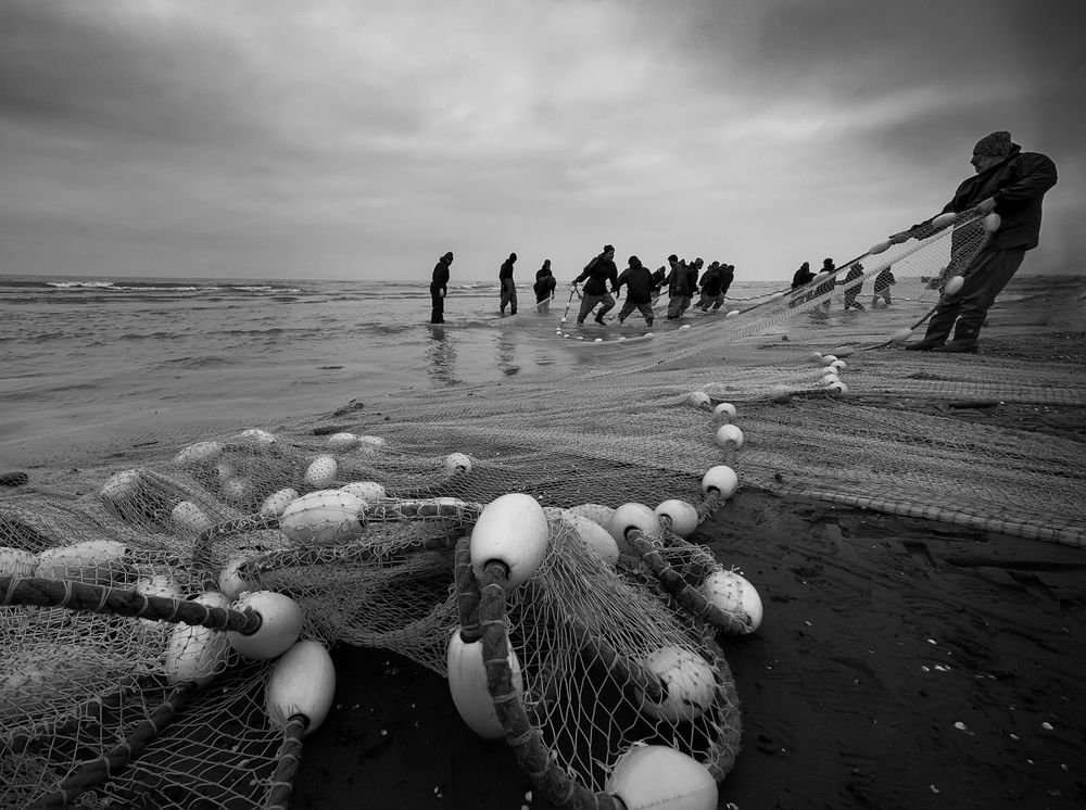 The Fishermans