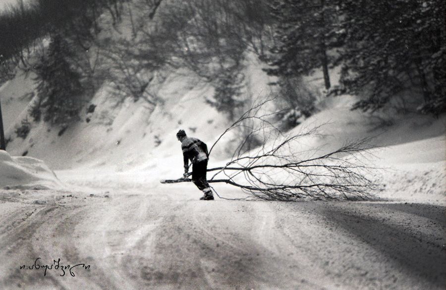 struggle for survival