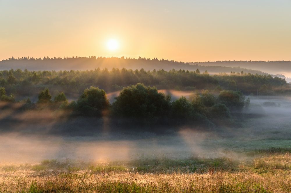 Калужские туманы