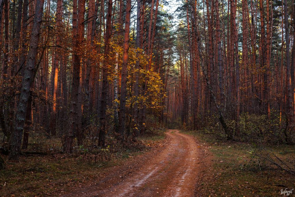 По Нац. парку Угра