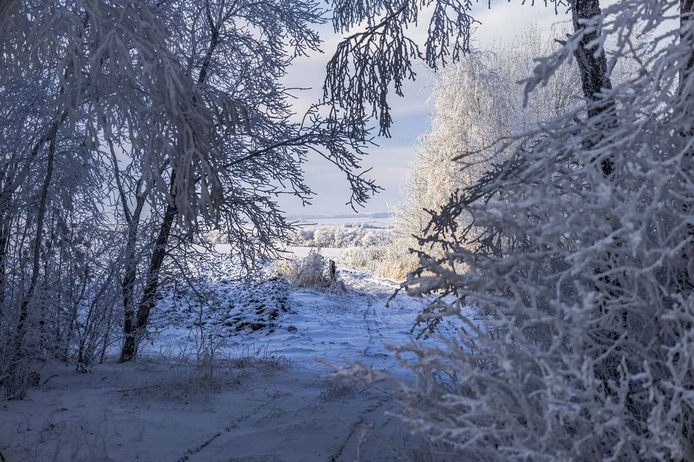 Зимние фотозарисовки