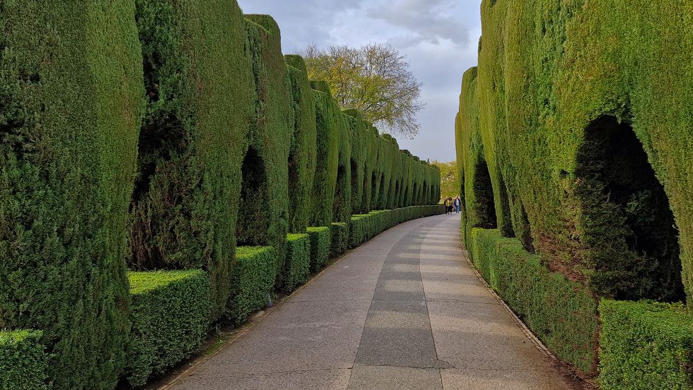 Alhambra (Часть первая)