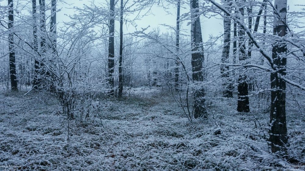 Photo 2732283