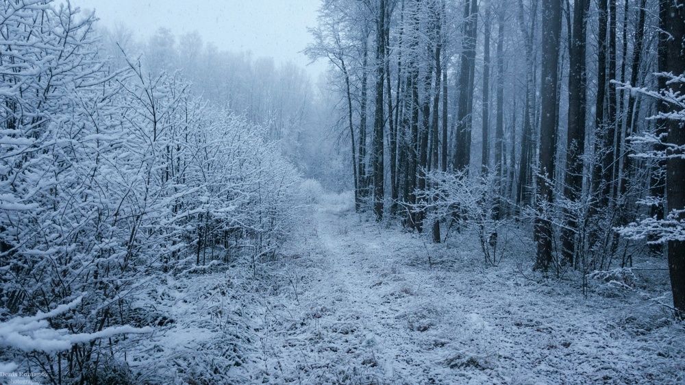 Photo 2732287