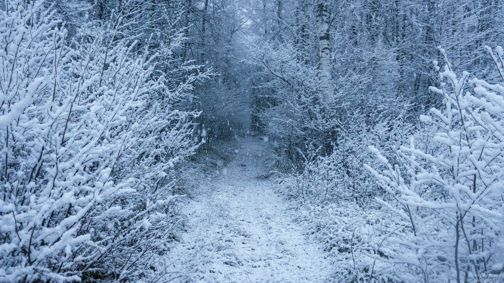 Photo 2732288