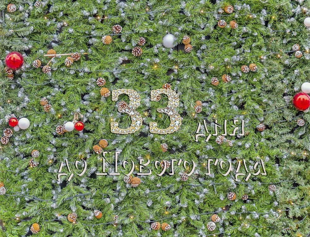 33 дня до Нового года