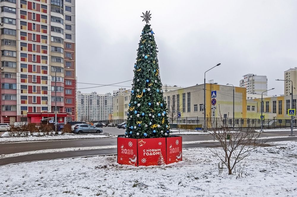 33 дня до Нового года