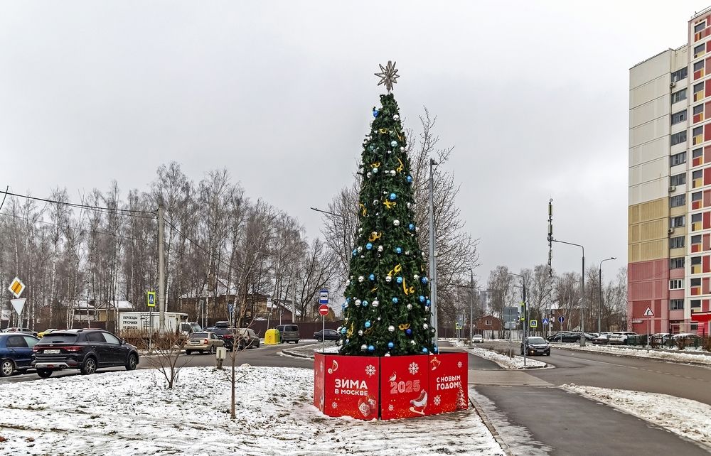 33 дня до Нового года
