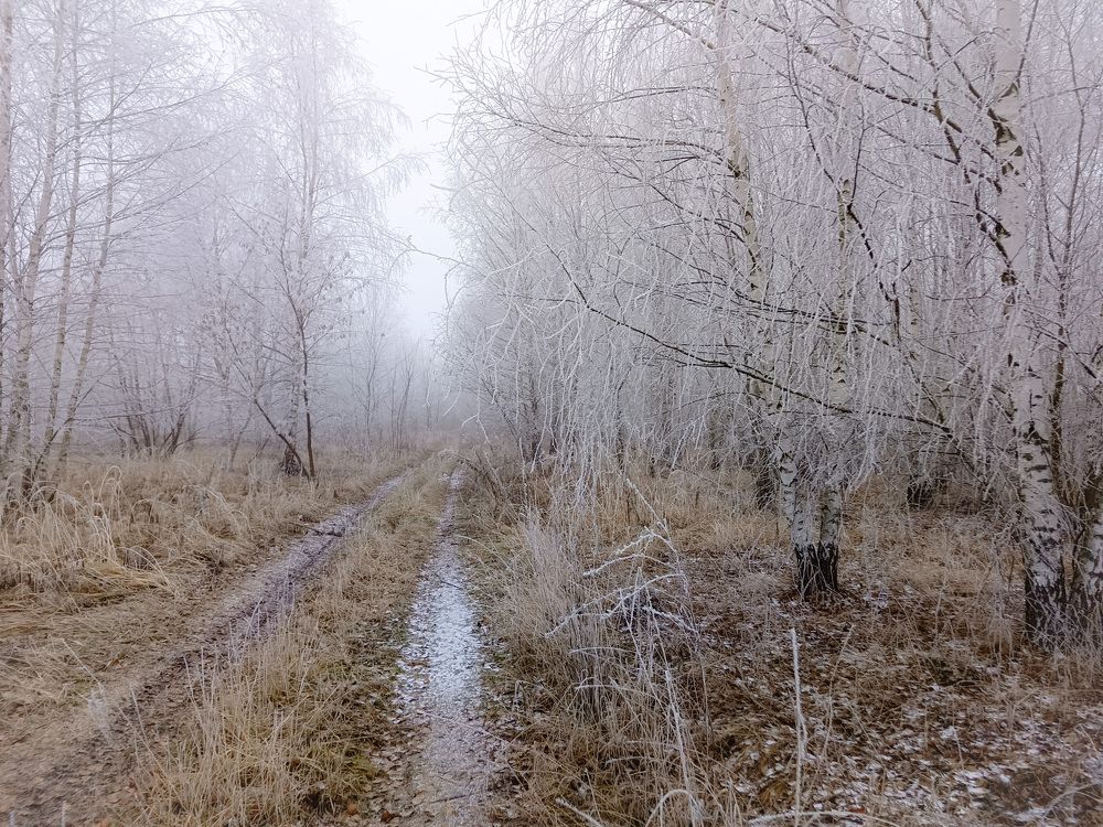 Photo 2733068