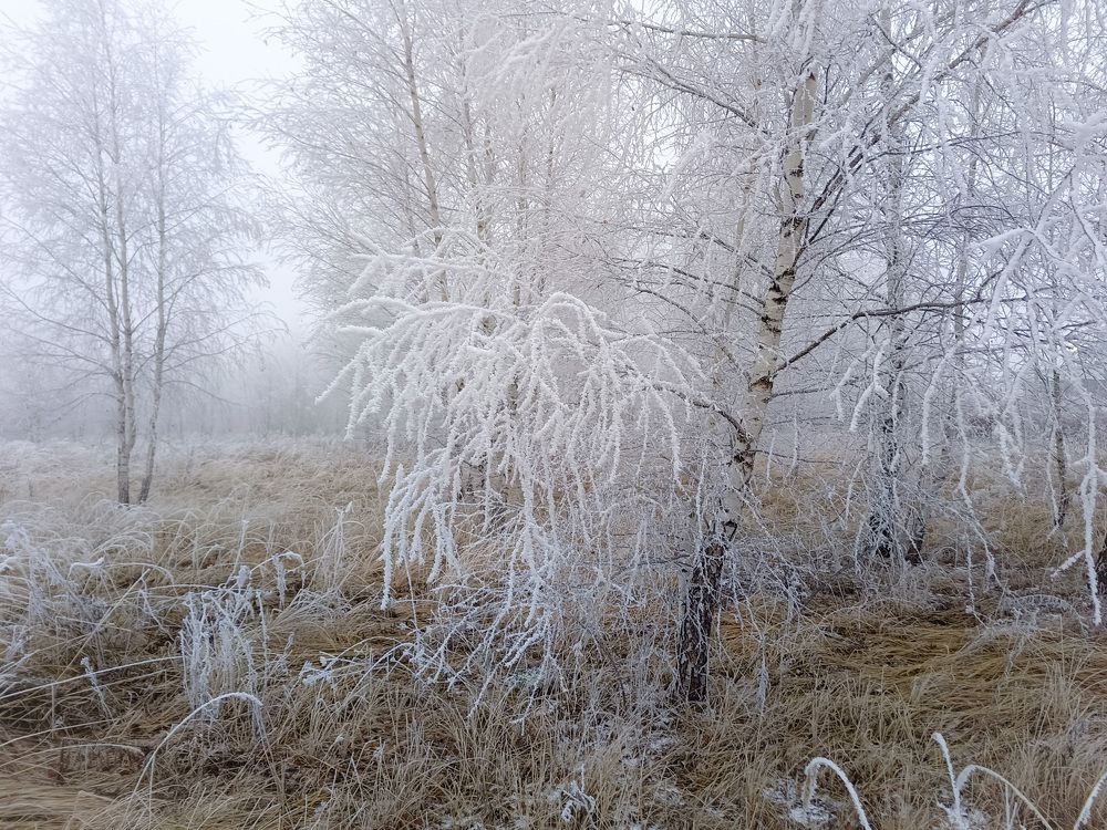 Photo 2733069