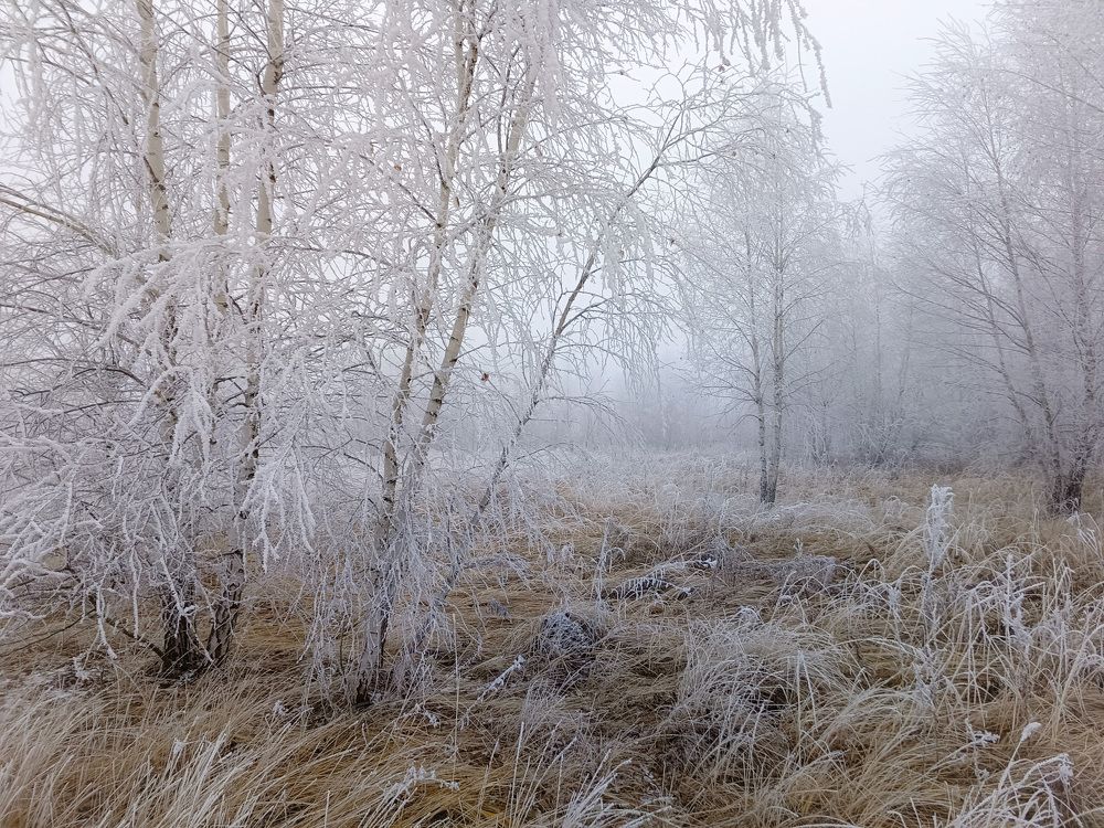 Photo 2733070
