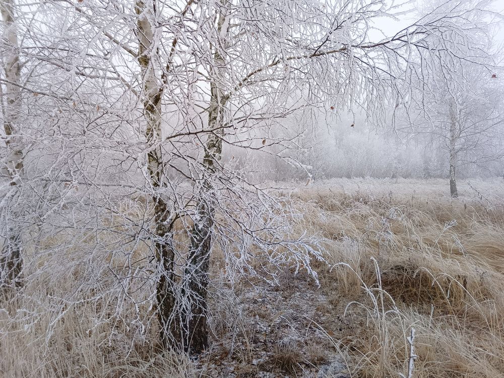 Photo 2733071