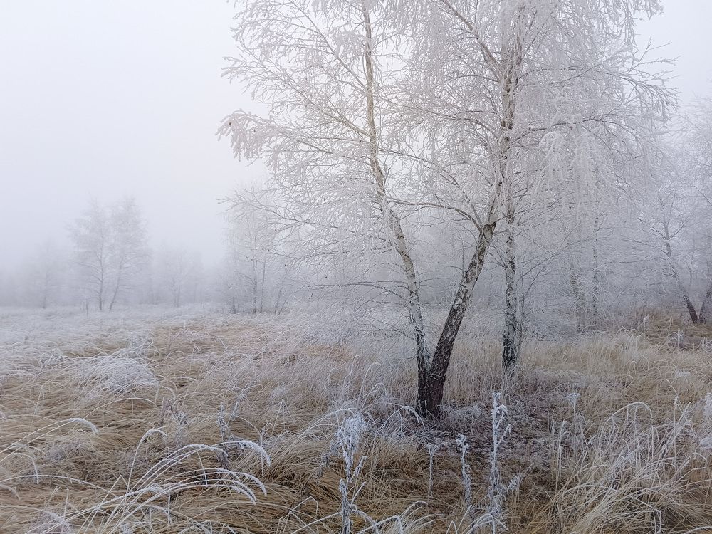 Photo 2733072