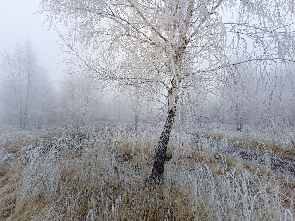 Photo 2733074