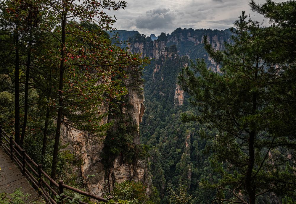 Пейзажи Аватара