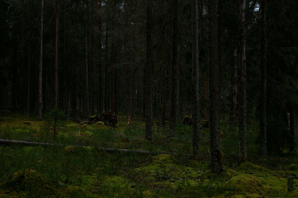 Tales of the Karelian Isthmus-3