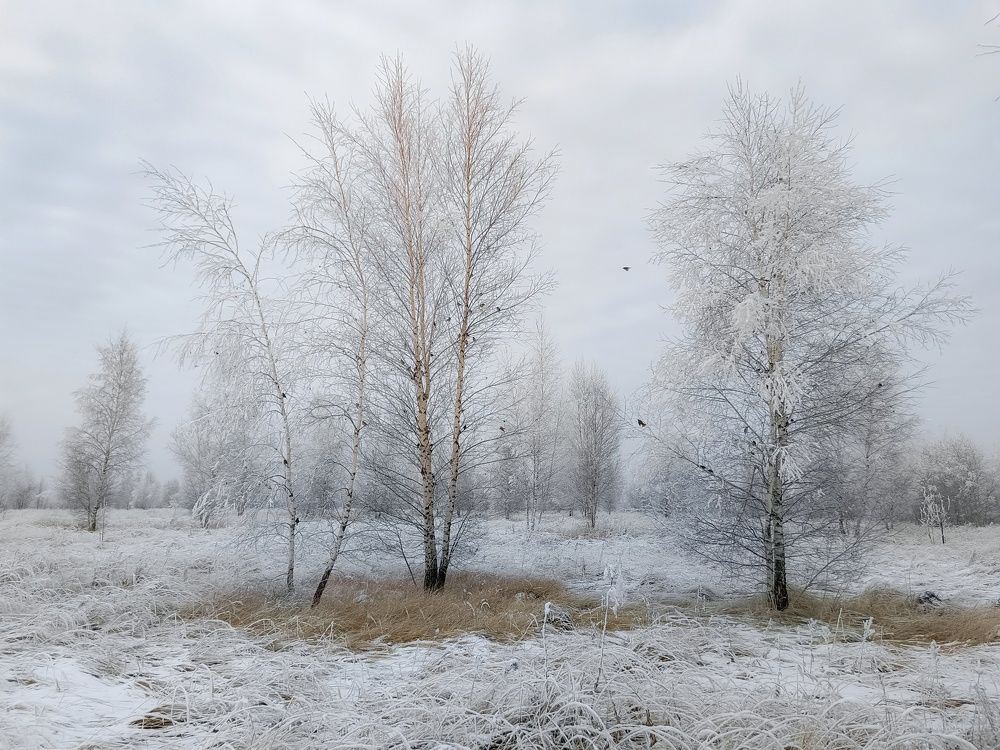 Photo 2733629