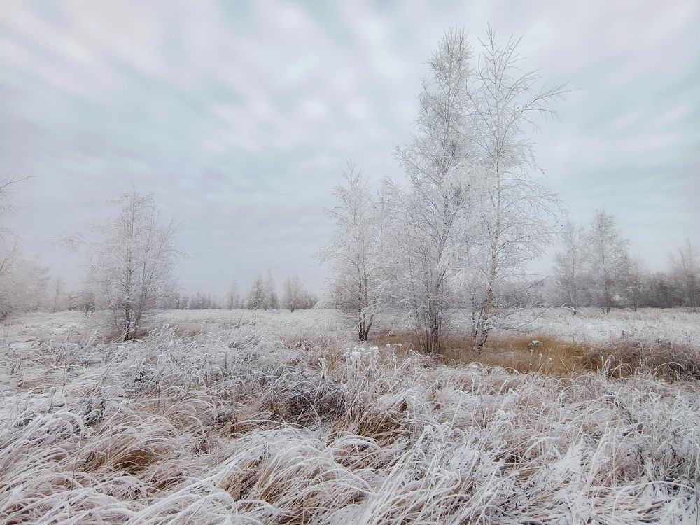 Photo 2733630