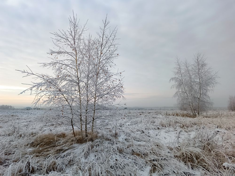 Photo 2733631