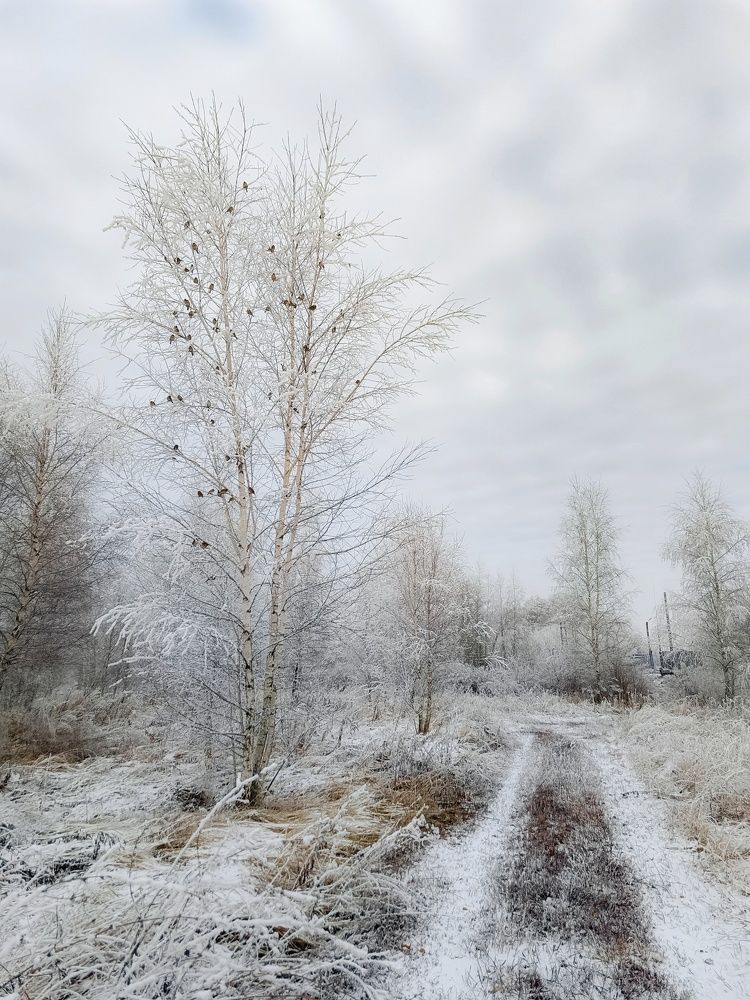 Photo 2733634