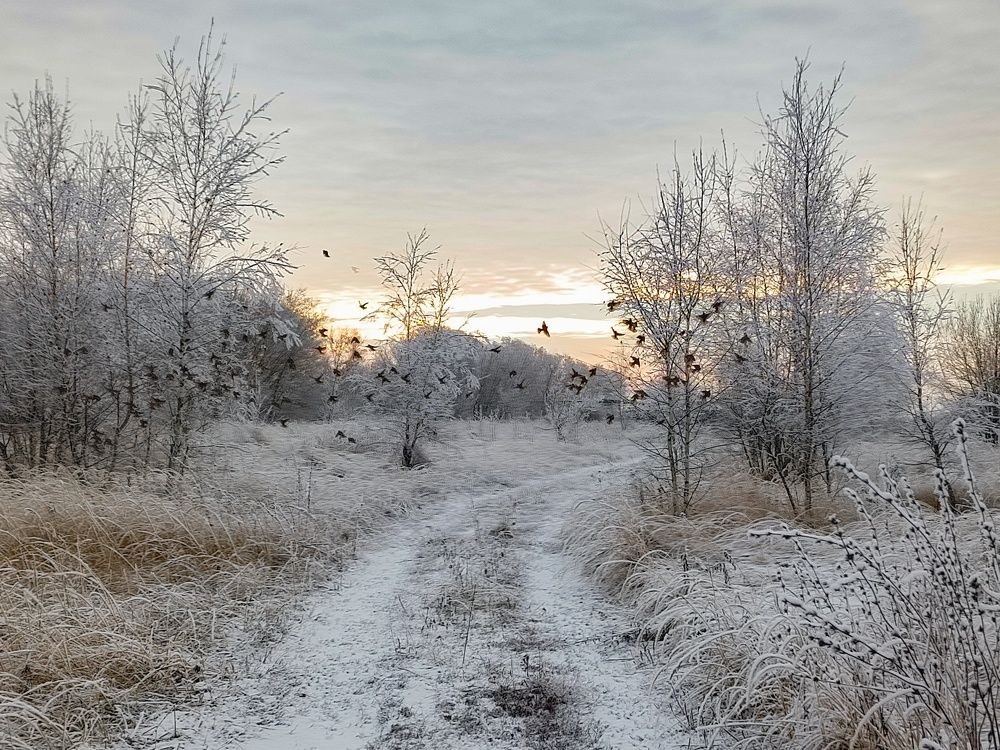 Photo 2733638