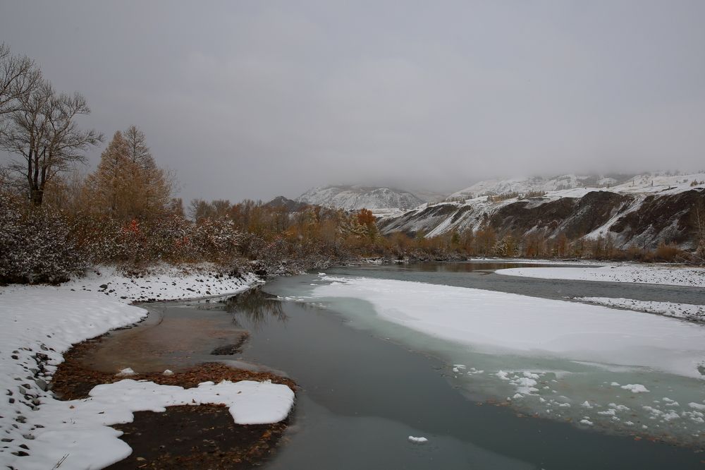 Photo 2733843