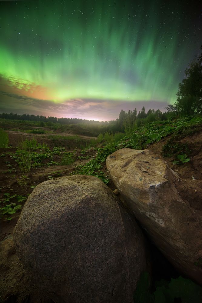 Августовская Aurora