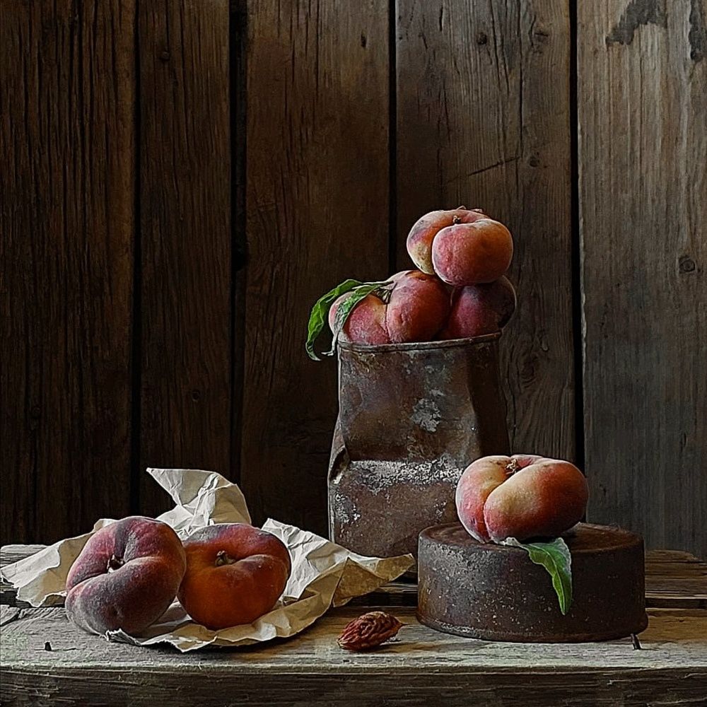 Photo 2734911