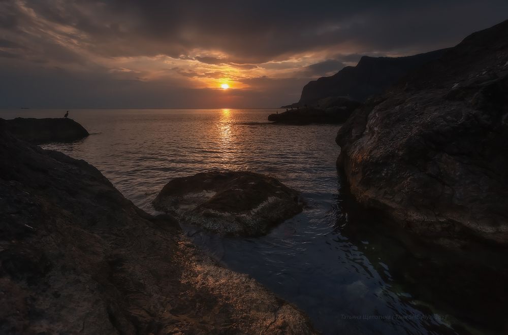 У моря