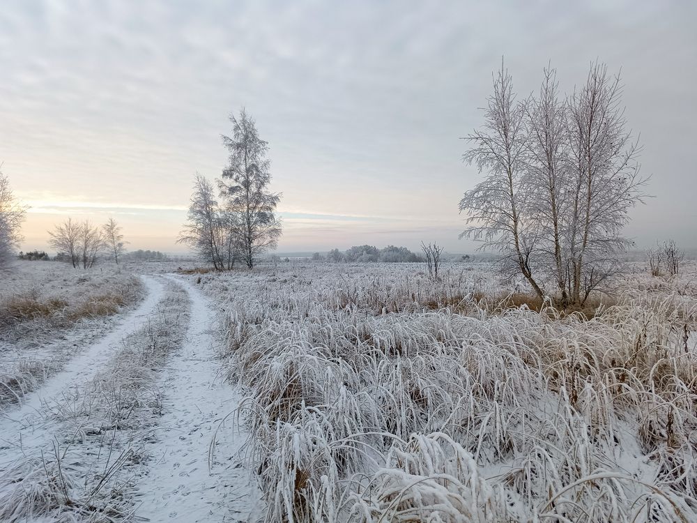 Photo 2735994