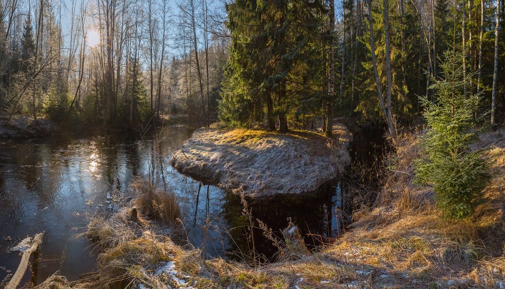 Первые заморозки