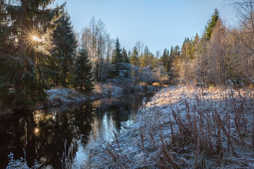 Первые заморозки