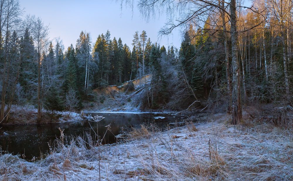 Первые заморозки