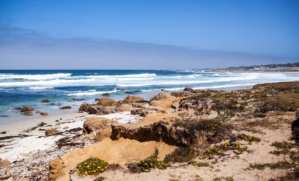 Pebble beach