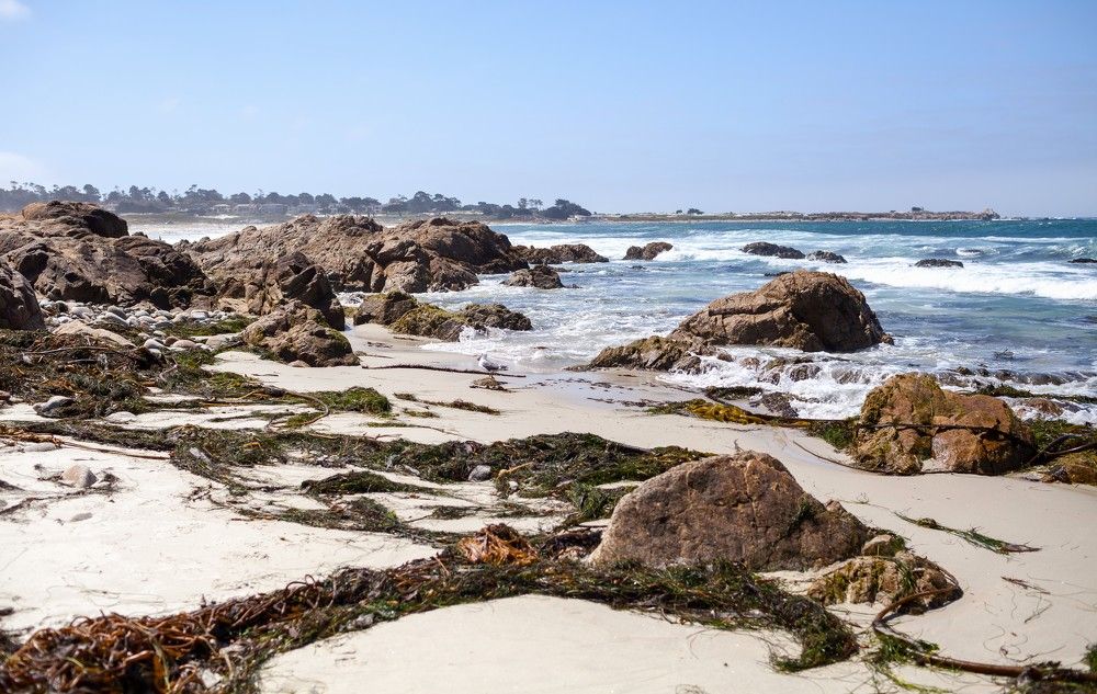 Pebble beach