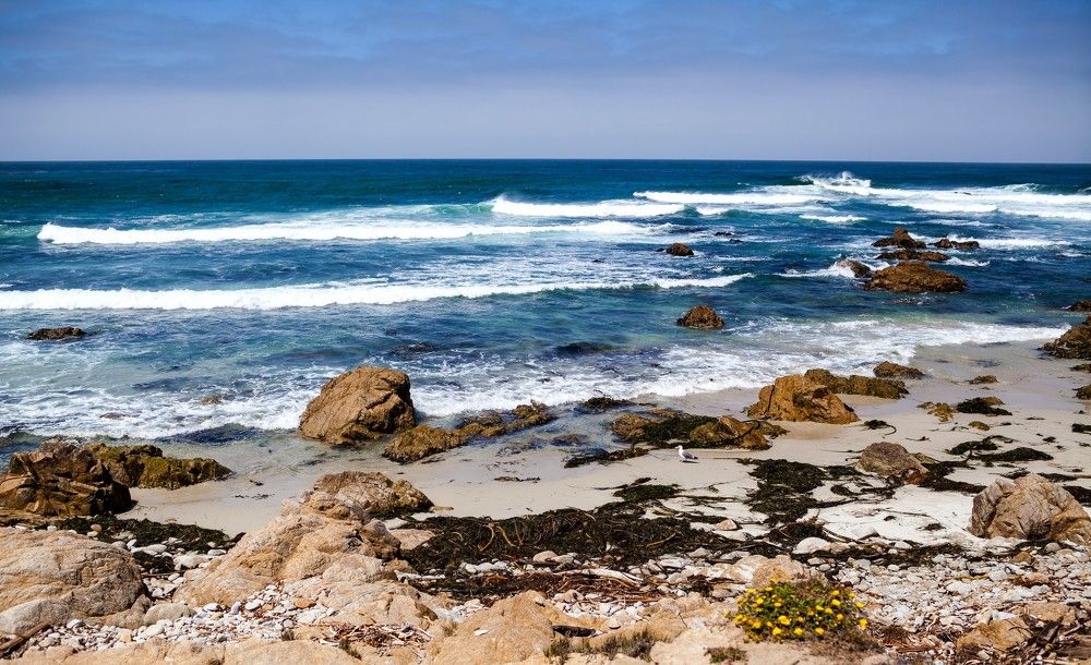 Pebble beach