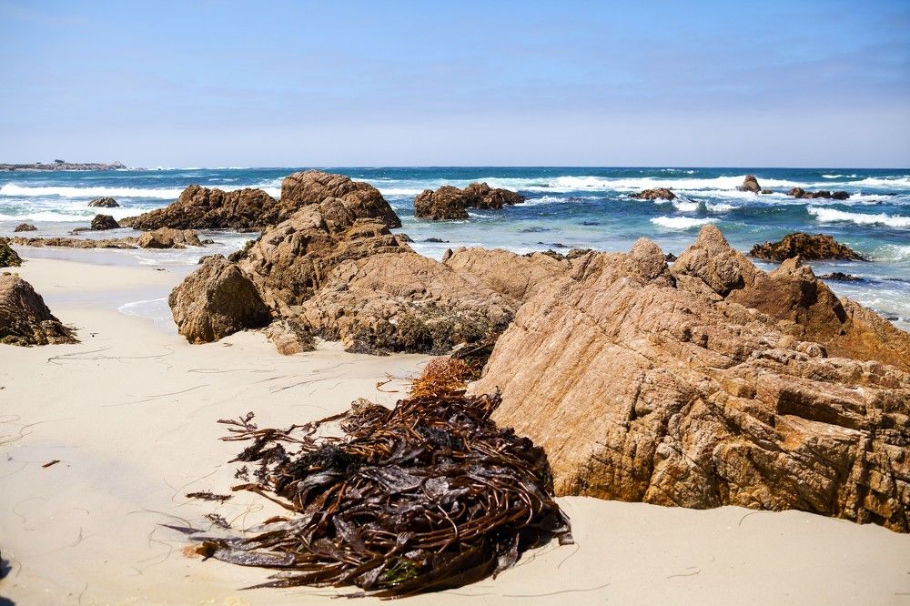 Pebble beach