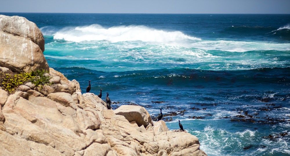 Pebble beach
