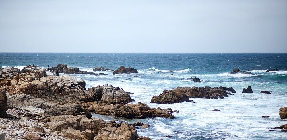 Pebble beach