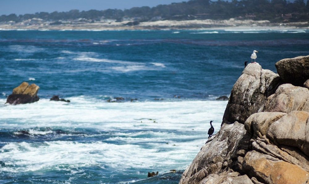 Pebble beach