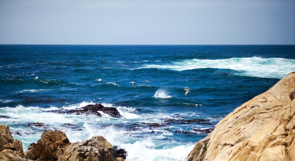 Pebble beach
