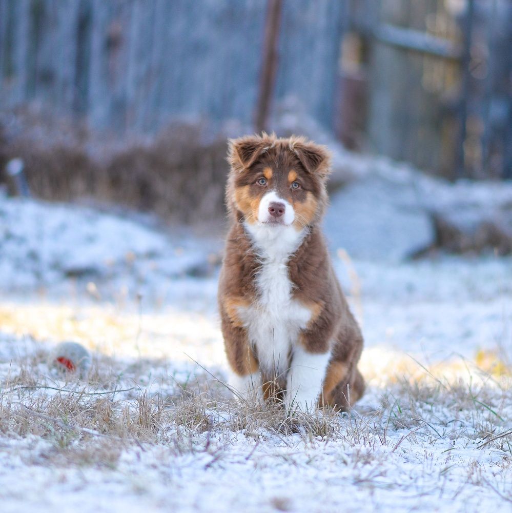 Photo 2737286