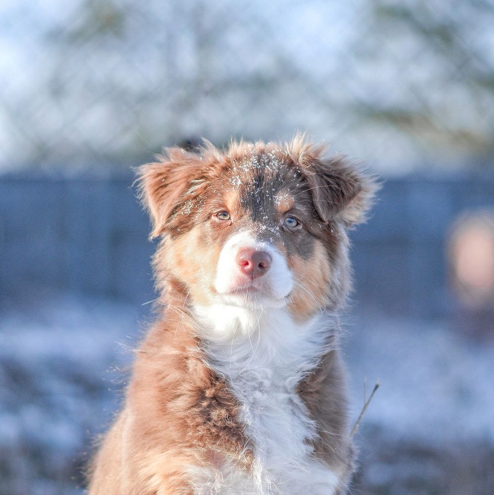 Photo 2737287