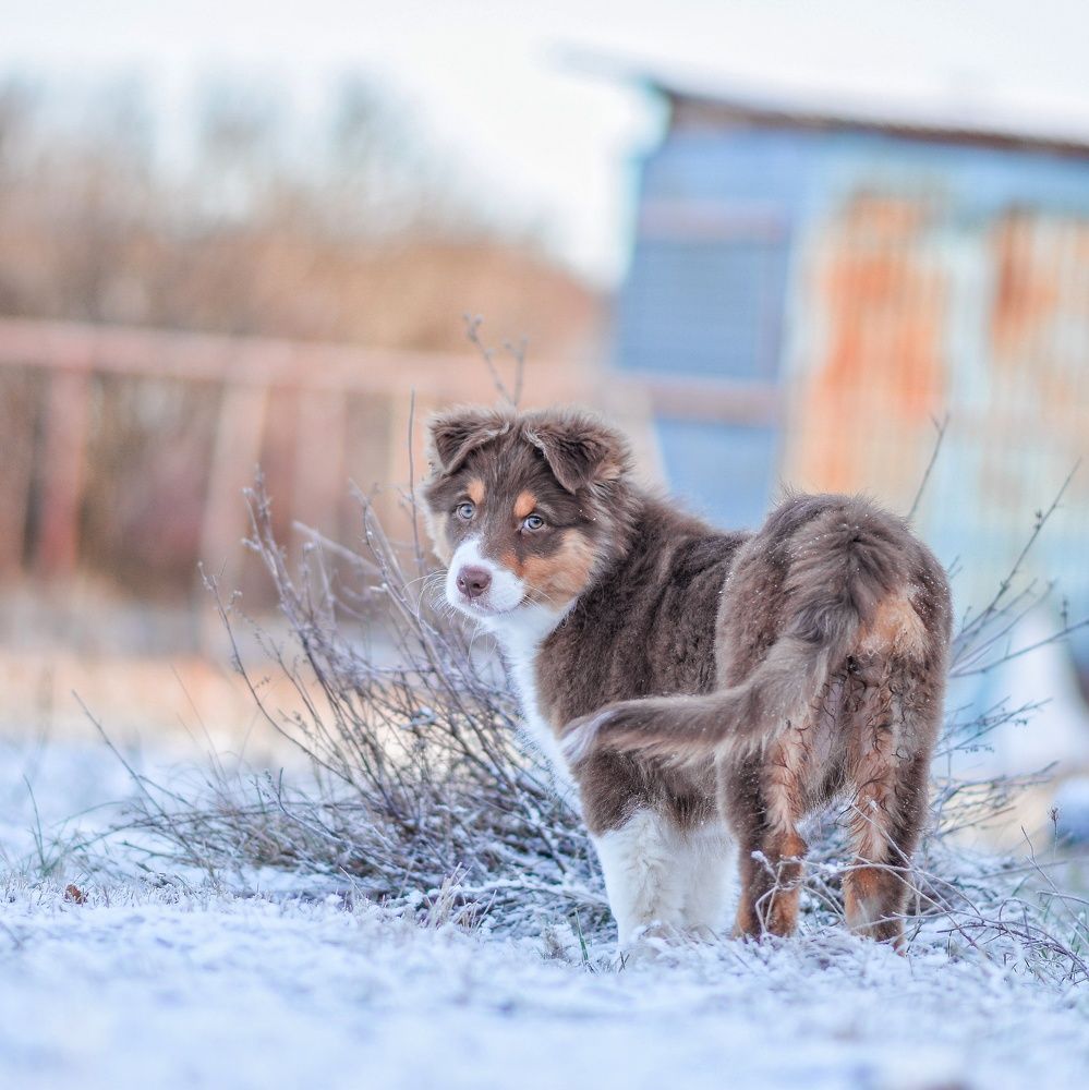 Photo 2737288